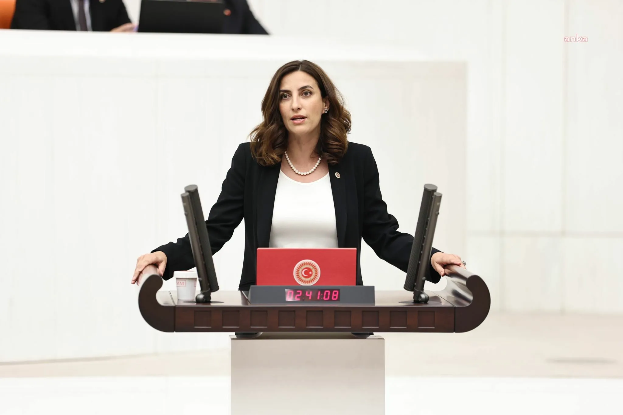 Evrim Rızvanoğlu’ndan HSK’nın çevre davalarının belirli idare mahkemelerinde görülmesine ilişkin kararına tepki